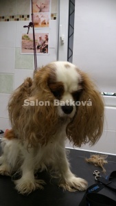 a takto také né vzhledem k zacupování se drží bakterie i plísně a je to jen krůček k problému 