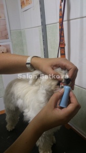 Péče o zoubky i zubní kámen je prevít